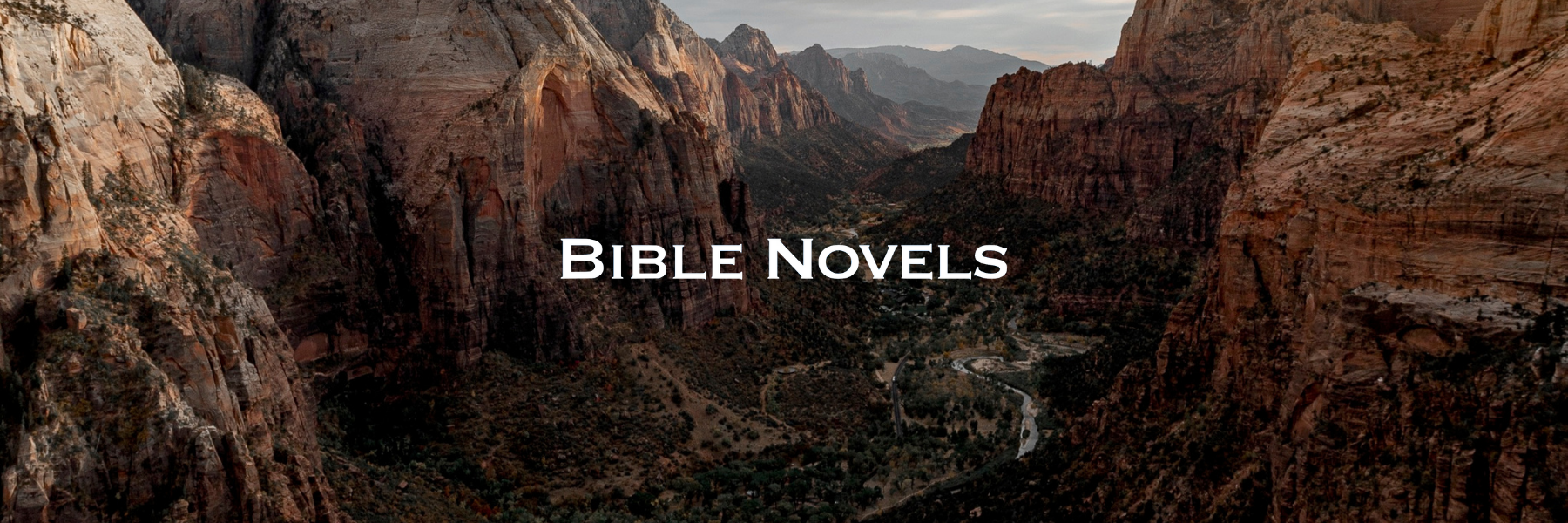 Welcome To Bible Novels